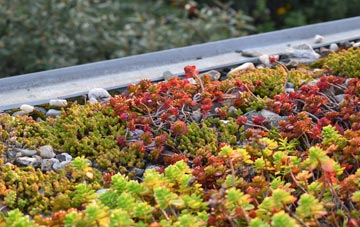 the cost of Compton Beauchamp green roof installation