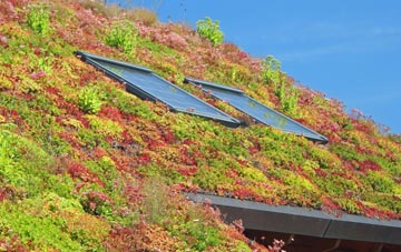 Compton Beauchamp living roof systems