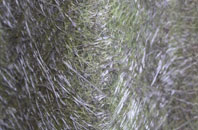 Compton Beauchamp fibreglass roof work